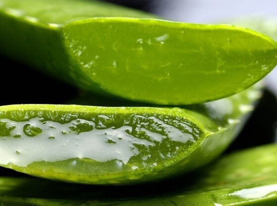 aloe vera per dimagrire opinioni